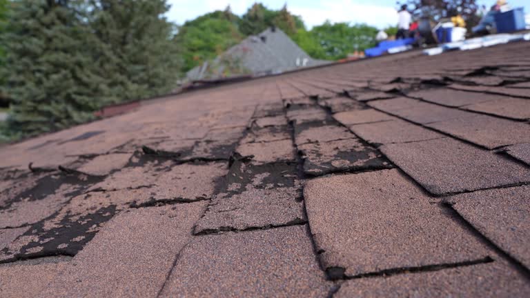 Fast & Reliable Emergency Roof Repairs in Sherwood Manor, CT